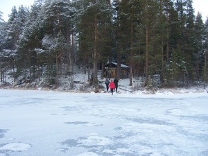 Jämäshovi1