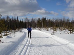 hiihtäjä1